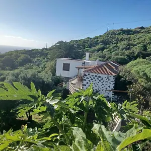 El Olivo De Mazo